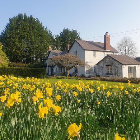 Lower House B&B Adforton Leintwardine Dış mekan fotoğraf