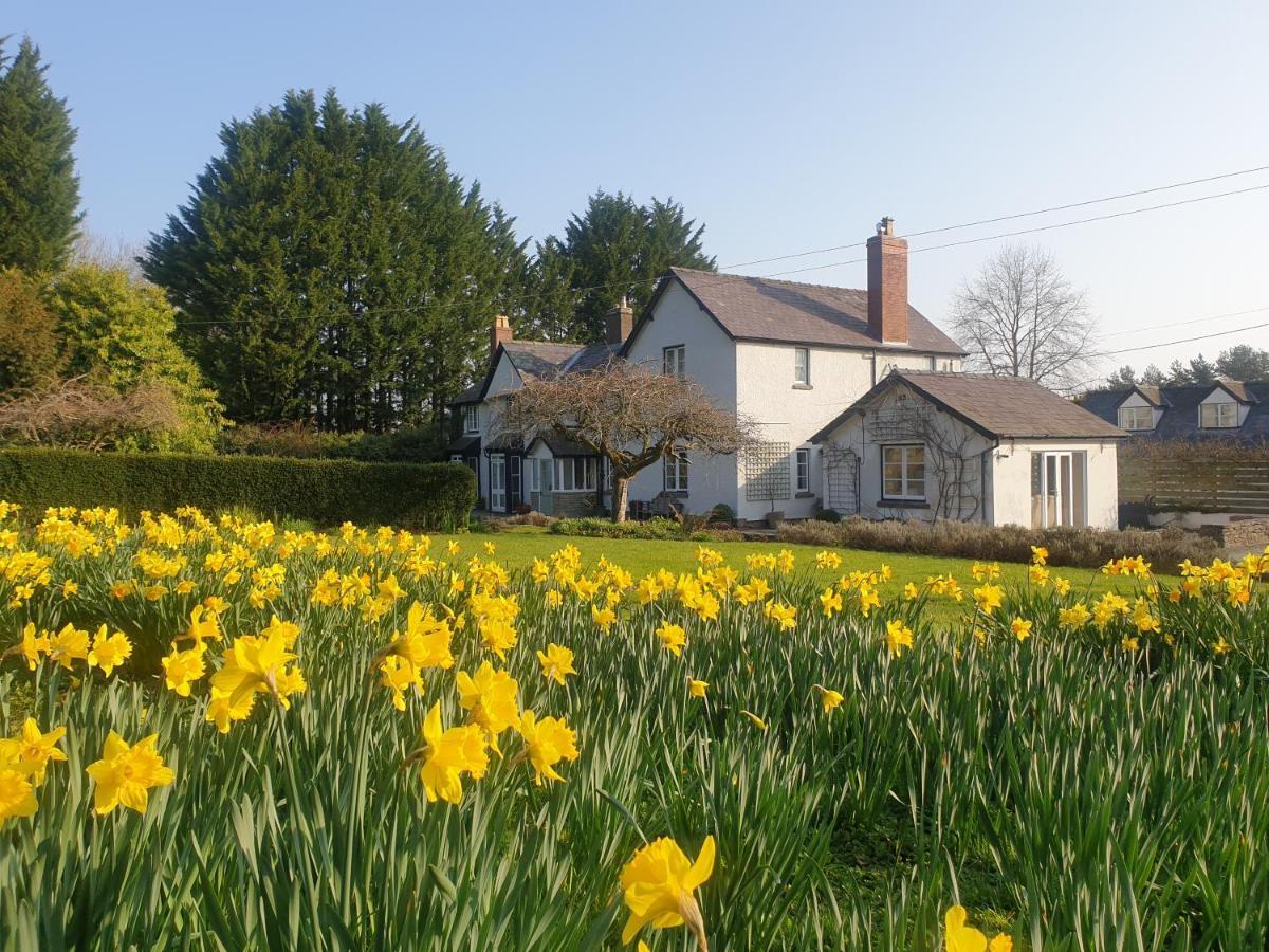 Lower House B&B Adforton Leintwardine Dış mekan fotoğraf